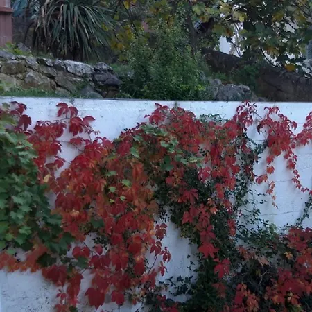 Dom wakacyjny Rupena