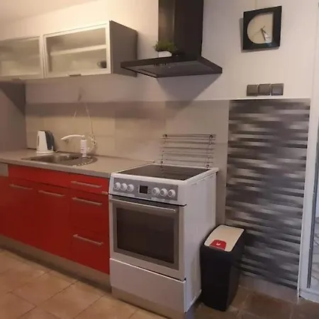 Apartment Rupena Holiday home *