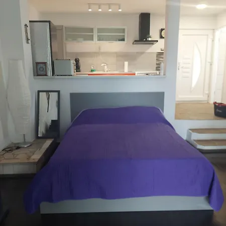 Apartment Rupena Holiday home